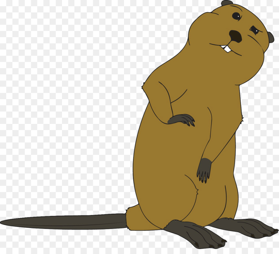 Beaver Cartoon