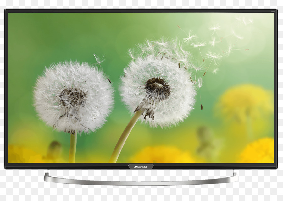 Blume, High-definition-Fernseher Zoll - Blume