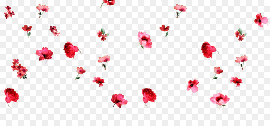 Petalo di Fiore di san Valentino, Amore, fantasia Floreale - fiore