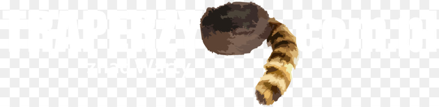 Gấu trúc Coonskin mũ Lông Tóc màu - Raccoon