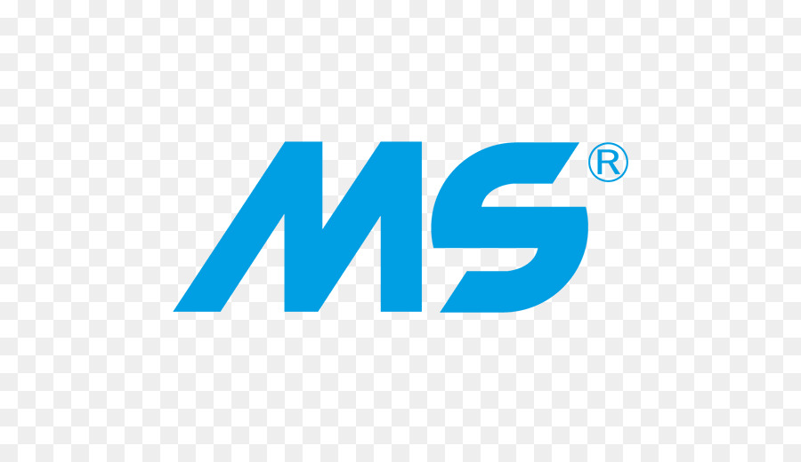 METALSISTEM S. p.Ein. HTTP cookie Logo Marke - ms olympia 2017