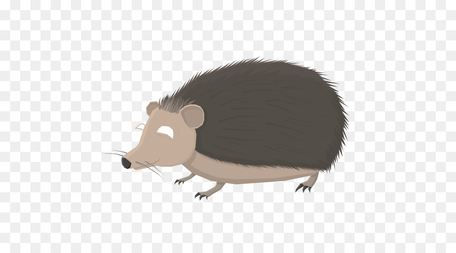 Gemeinsame opossum Schwein Schnauze Computer-Maus Fauna - Schwein