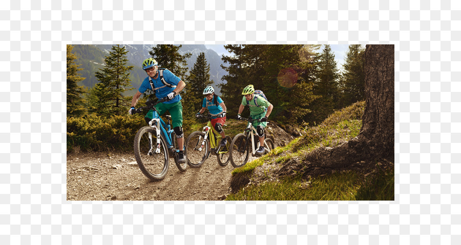 Downhill-Mountainbike-Mountain-bike Cyclo-cross Elektro-Fahrrad Hybrid Fahrrad - emotion Fahrrad