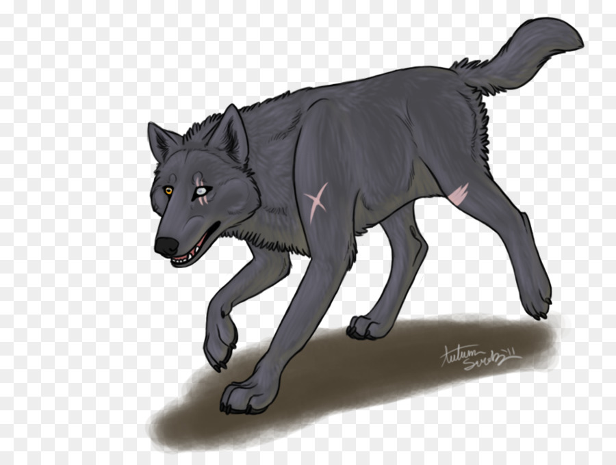 Gray wolf Fauna, Fell, Schnauze Tierwelt - Träume jagen