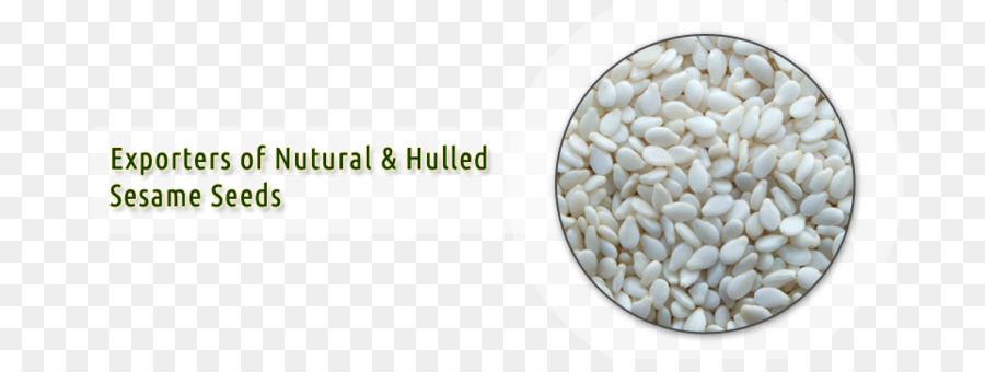 Dhaval Agri Esportazioni LLP Semi di Sesamo Vendite - di semi di sesamo