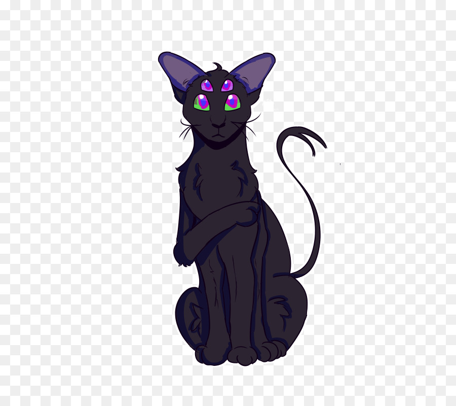 Gatto nero Gattino Baffi Canidae - Mente Aperta