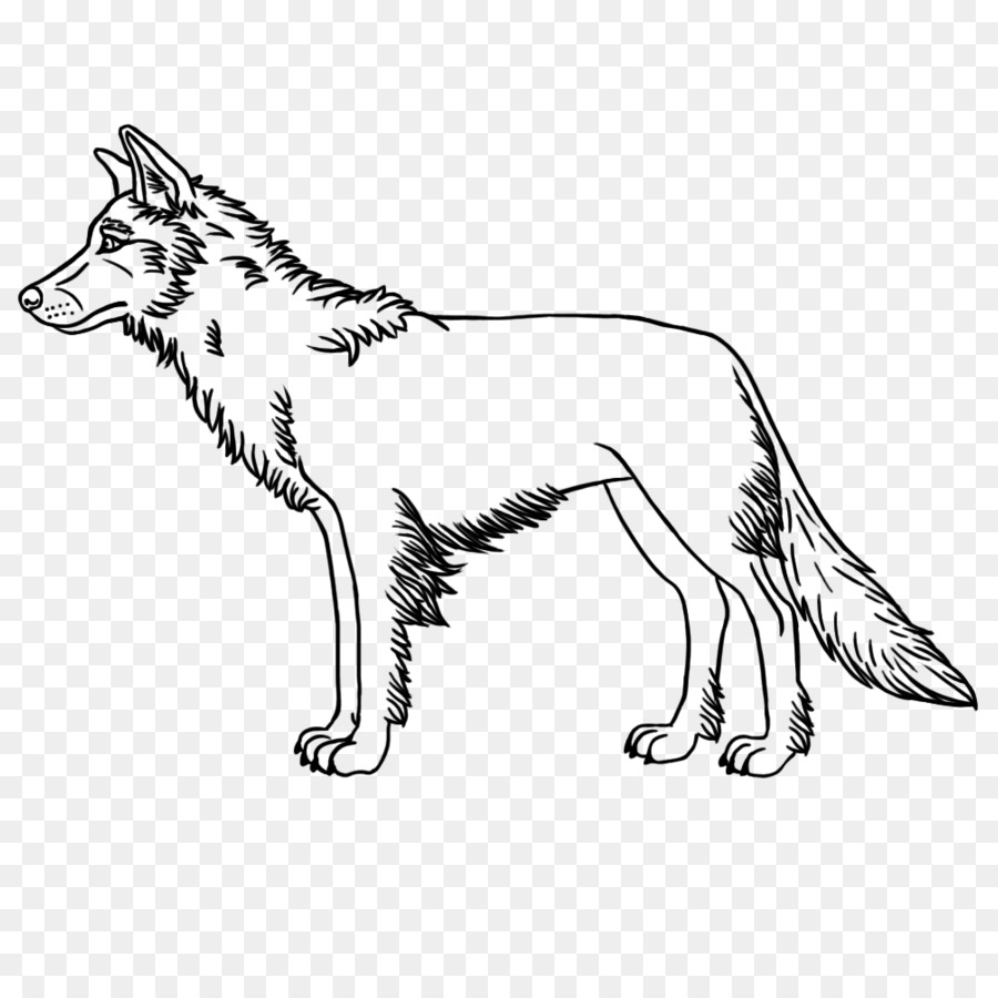 I baffi del Gatto del Cane di razza di volpe Rossa - gatto