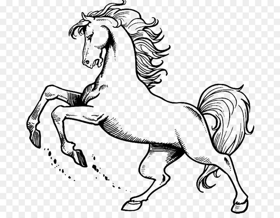 Bờm Ngựa Mustang Colt Dây Cương - mustang