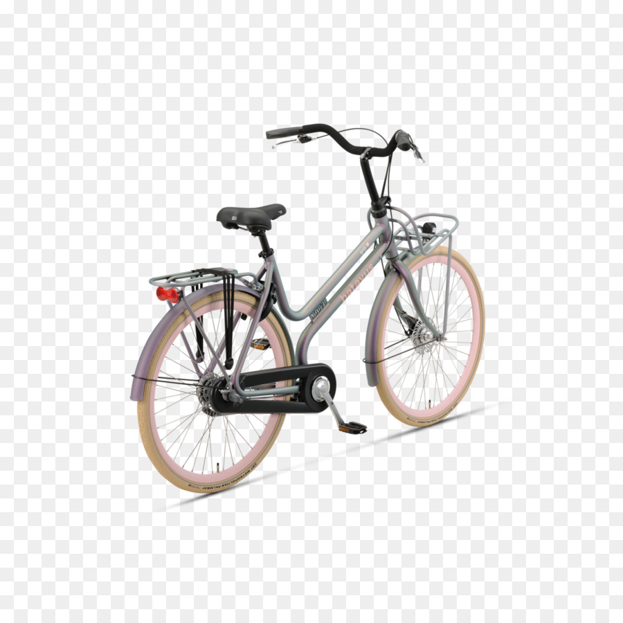 Le Ruote Delle Biciclette Telai Di Biciclette Selle Per Bicicletta Da Corsa Batavus - Bicicletta