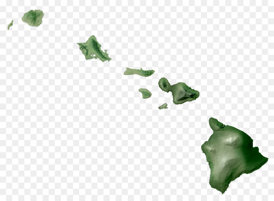 Kalawao County, Hawaii, Maui, Kauai - aloha benvenuto alle hawaii