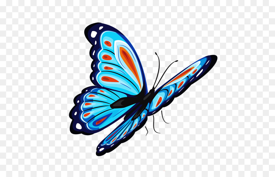 Farfalla, Sfondo del Desktop Clip art - farfalla