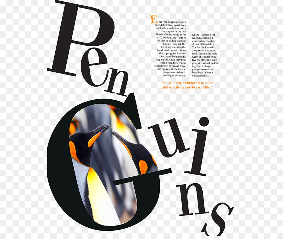 Rivista di layout di Pagina, design della Comunicazione, Logo - elegante indesign magazine template