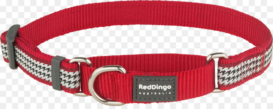 Collare di cane Dingo Martingala - collare rosso cane