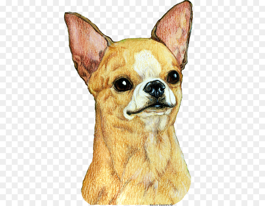 Chihuahua Cane di razza cane da compagnia cane Giocattolo Baffi - chihuahua arte