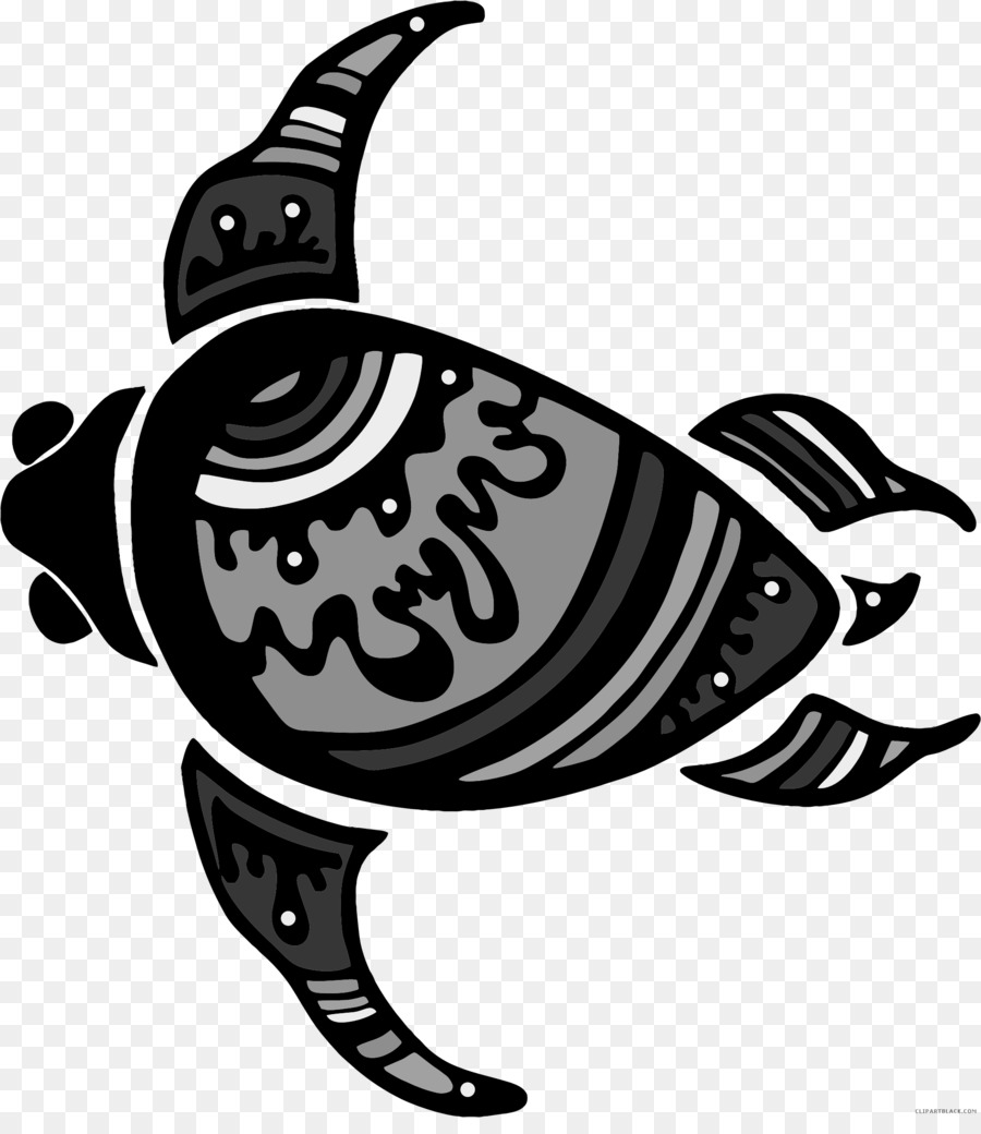 Rùa biển xanh loài Bò sát Có xương sống - rùa