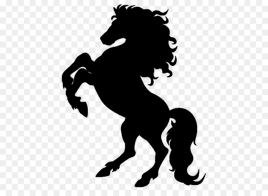 Mustang Con Ngựa Pony Mỹ Saddlebred Nuôi - mustang
