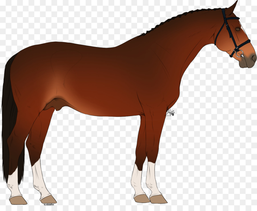 Con Ngựa Pony Stallion Kiềm Chế Mare - Con ngựa