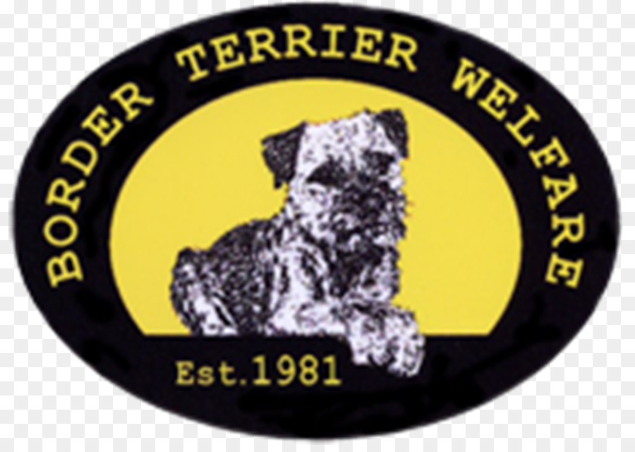 Der Border Terrier Armutlu Sozialstaat Vereinigtes Königreich - Border Terrier