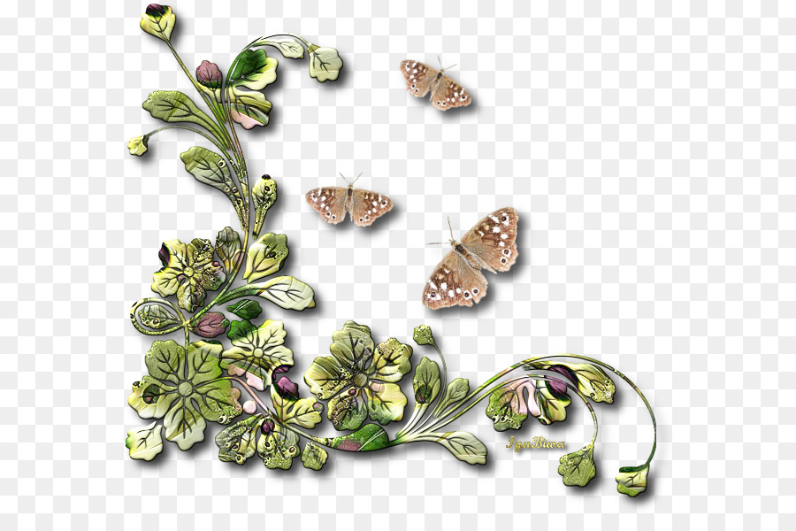 Große, weiße Schmetterlinge und Motten Inachis io - Arabeske