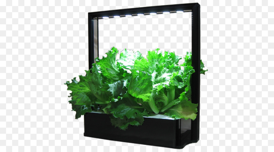 Gemüse Salat Kräuter MINI Cooper Licht - pflanzliche