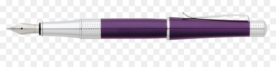 Fountain Pen Purple