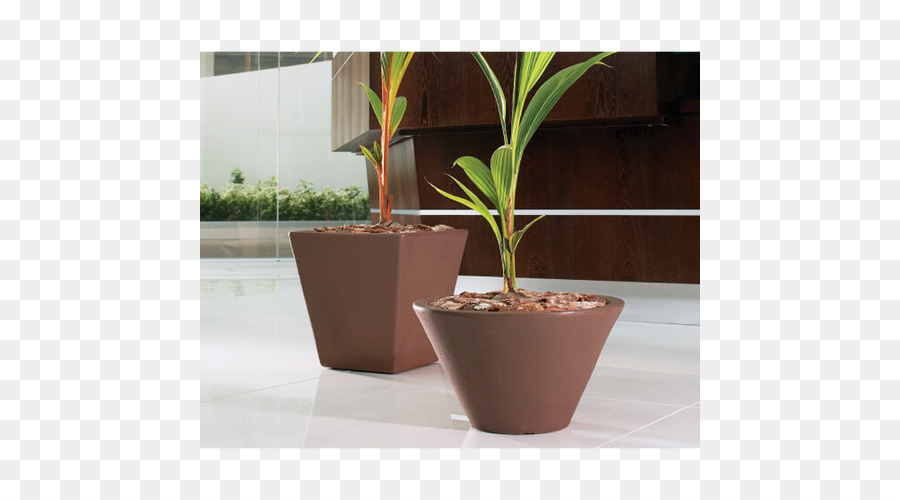 Houseplant Plant