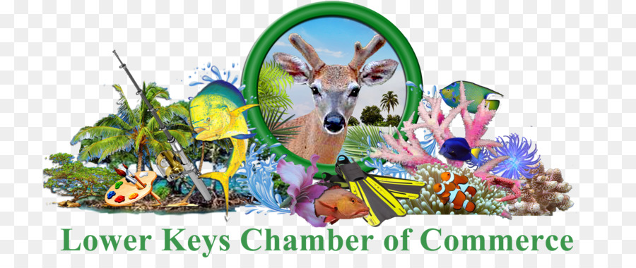 Key West Florida Keys Biển Vista động Sản Đảo Chứng khoán, Florida Cát của các Phím - Kinh doanh