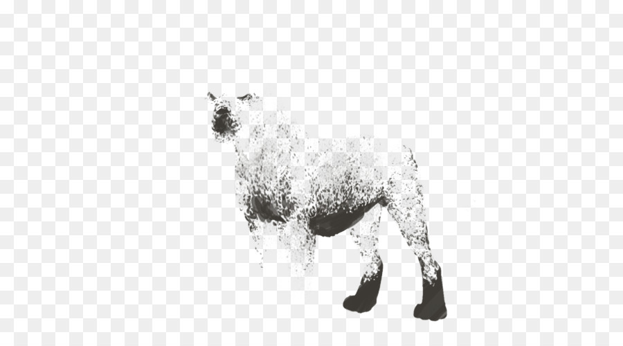 Cane da Pecore di razza - pecore