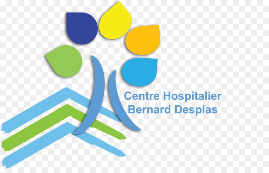 Hospital Center Bernard Desplas centre hospitalier (Frankreich)   Einheit für die langzeitpflege Patienten, Medicine - Finesse