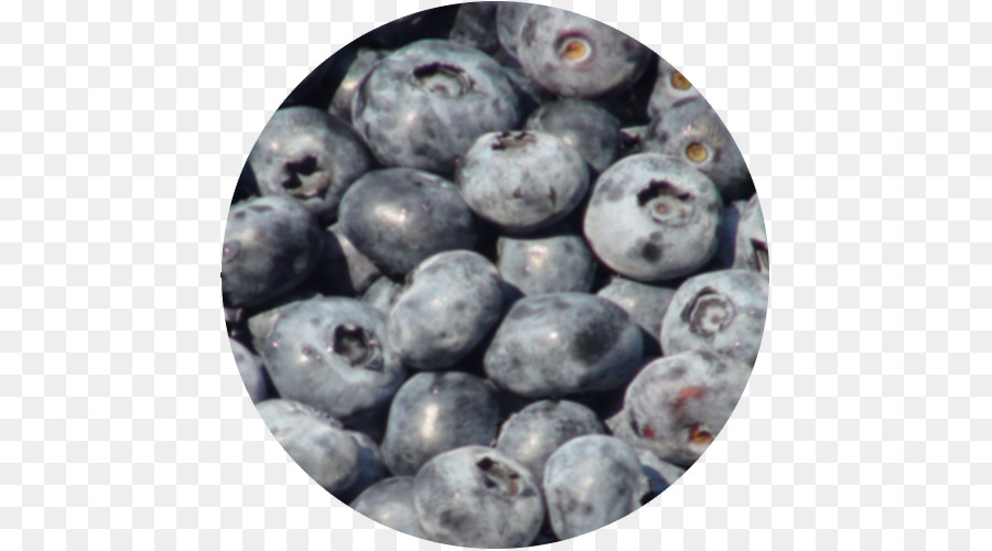 Blueberry Blueberry