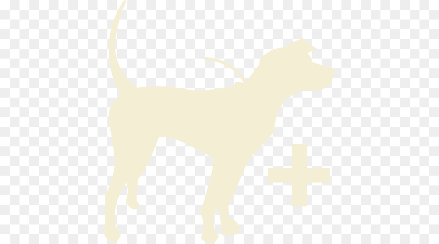 Cane razza Cucciolo di Gatto - cucciolo