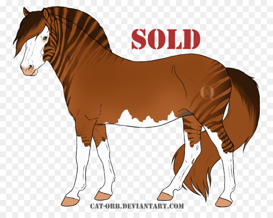 Bờm Ngựa Mare Stallion Colt - mustang