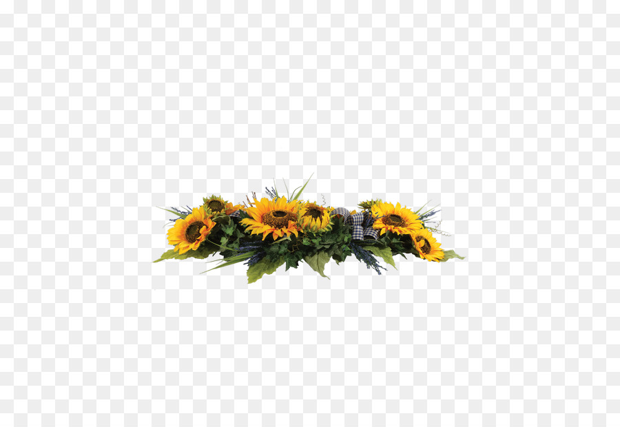 Common sunflower Connells Maple Lee, Blumen & Geschenke-Pflanze Rose - Blume