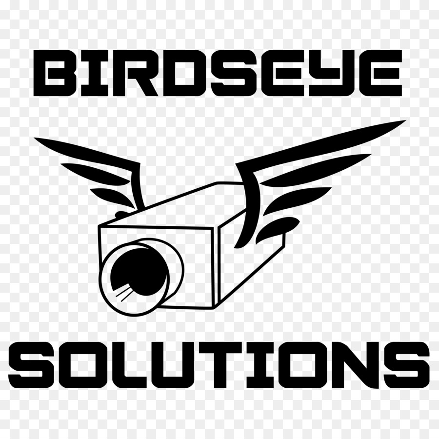 Logo Birdseye Lösungen der Marke Closed circuit television Schriftart - Aufsicht