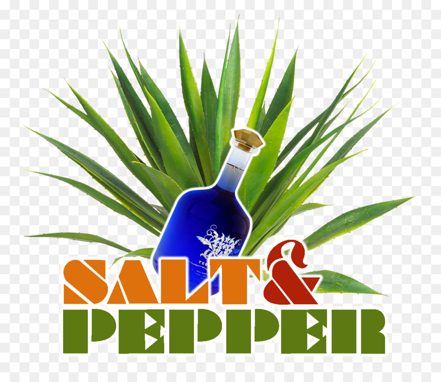 Logo Gräser Ware Tree Schriftart - Salz und Pfeffer