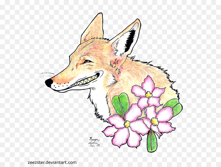 Đỏ fox Coyote Vẽ Chó hoang Dã - Con chó