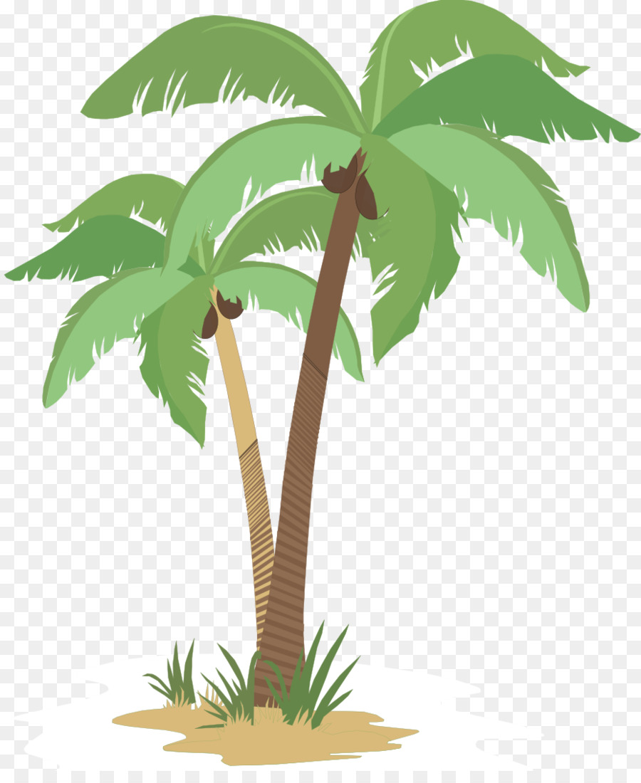 Coconut Arecaceae Blumentopf-Baum-Pflanze-Stiel - Kokos