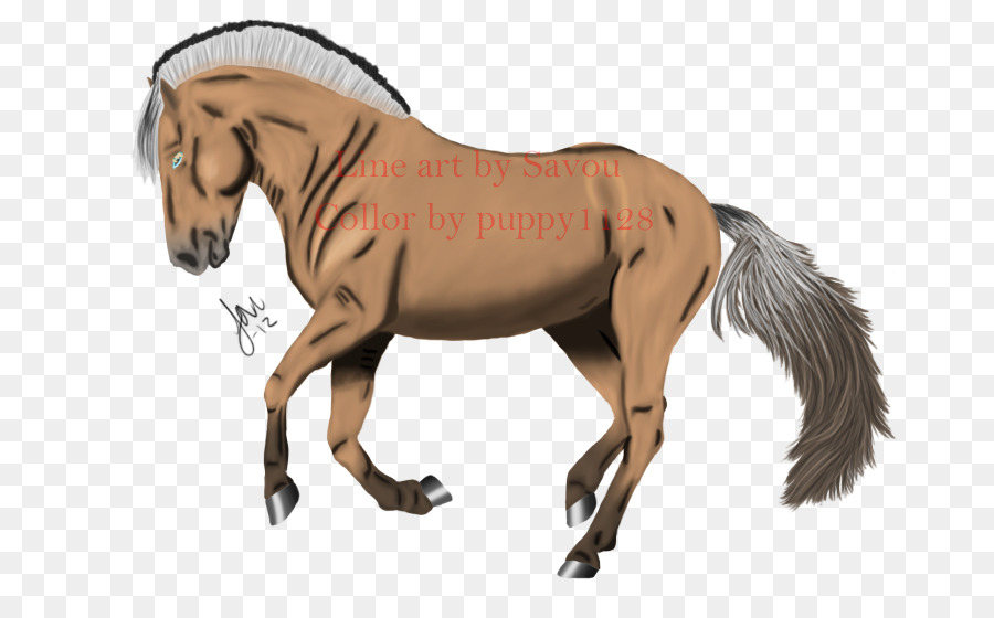 Mähne Fjord Pferd Pony Mustang - Mustang