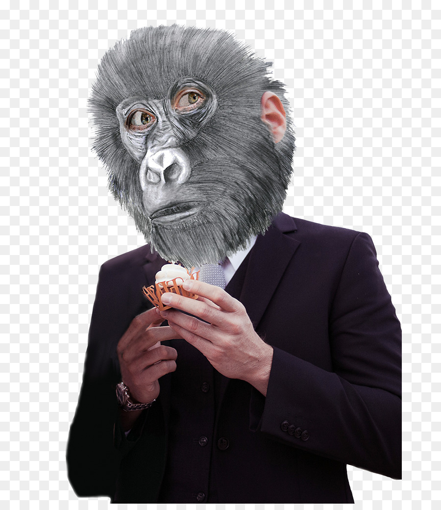 Gorilla Scimmia Maschera Muso Ape - Gorilla