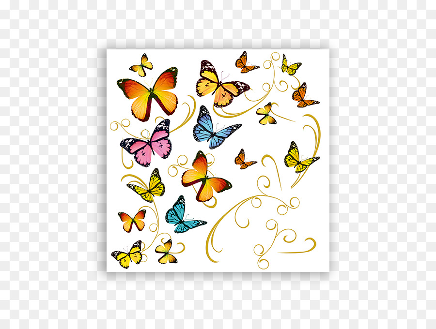 Farfalla monarca Pennello zampe farfalle Insetti - farfalla