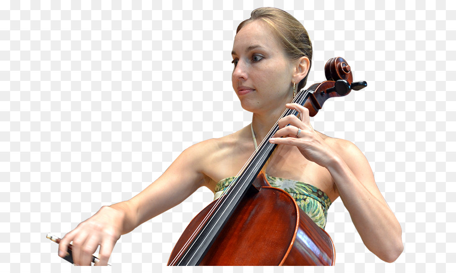 Violoncello Violino Viola Microfono Violoncellista - violino