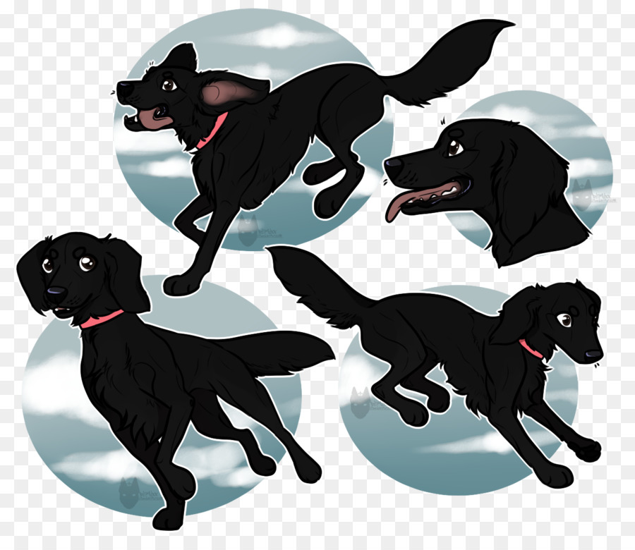 Labrador Retriever Hunderasse Sportliche Gruppe - Geld schwimmenden