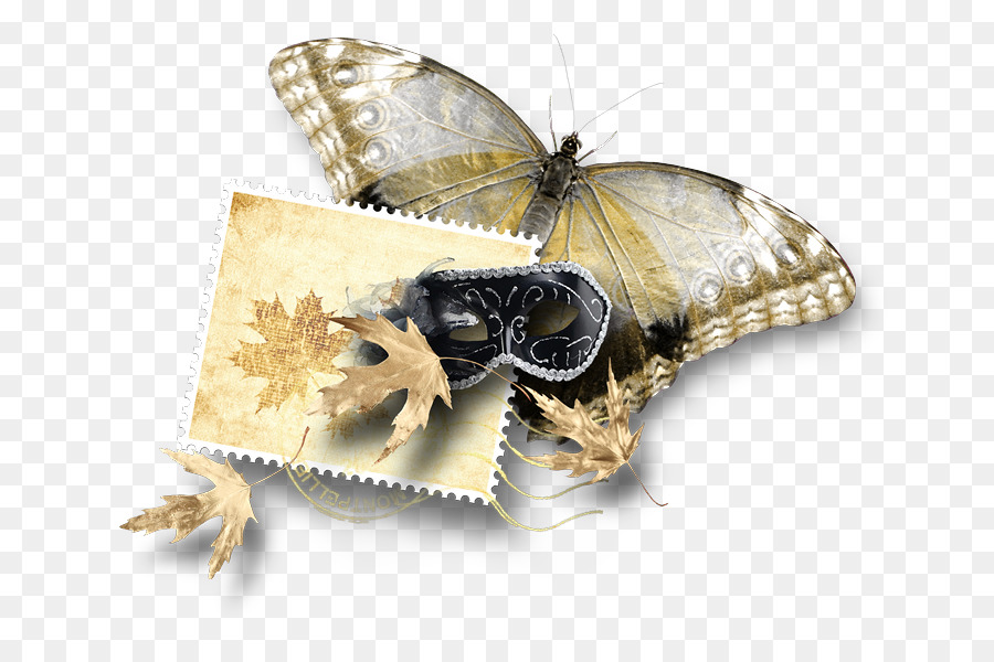 Seidenraupe Schmetterlinge-clipart - Schmetterling anzeigen