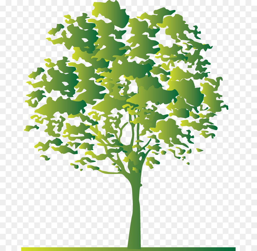 Baum Zweig Weiß - Design