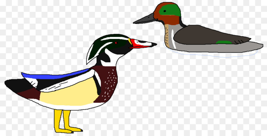Mallard Duck Fauna Schnabel Clip-art - Ente