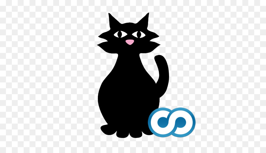 Die schnurrhaare von Kätzchen Inländischen Kurzhaar Katze Black cat - Kätzchen