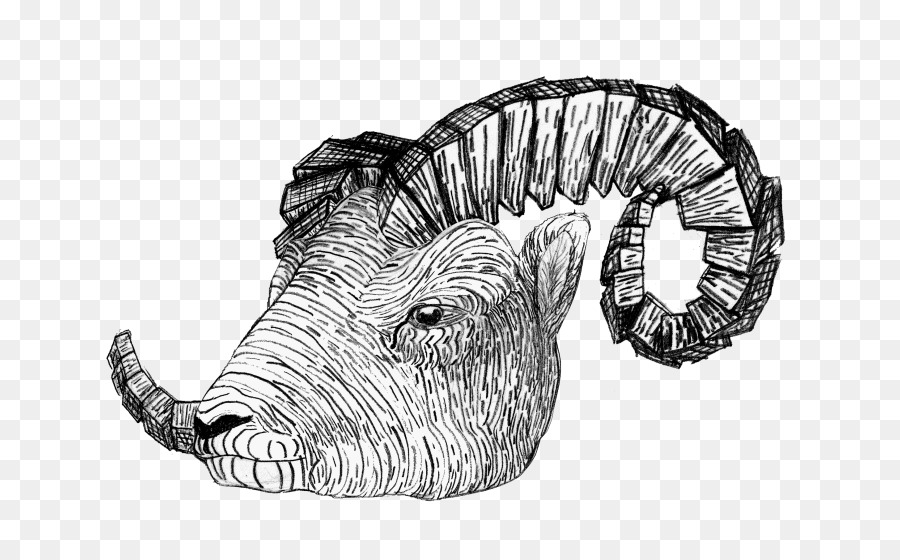 Disegno Di Bestiame Matita Corno Cazzo - matita