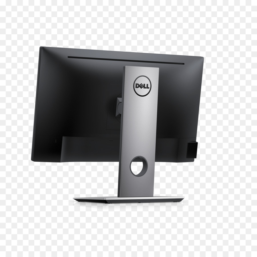 Dell P-17H pannello IPS Monitor di Computer a LED-backlit LCD - computer