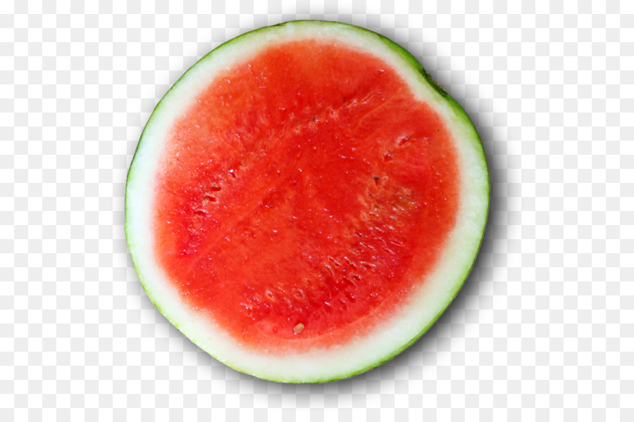 Wassermelone Unternehmen Empresa Internet Profit - Wassermelone