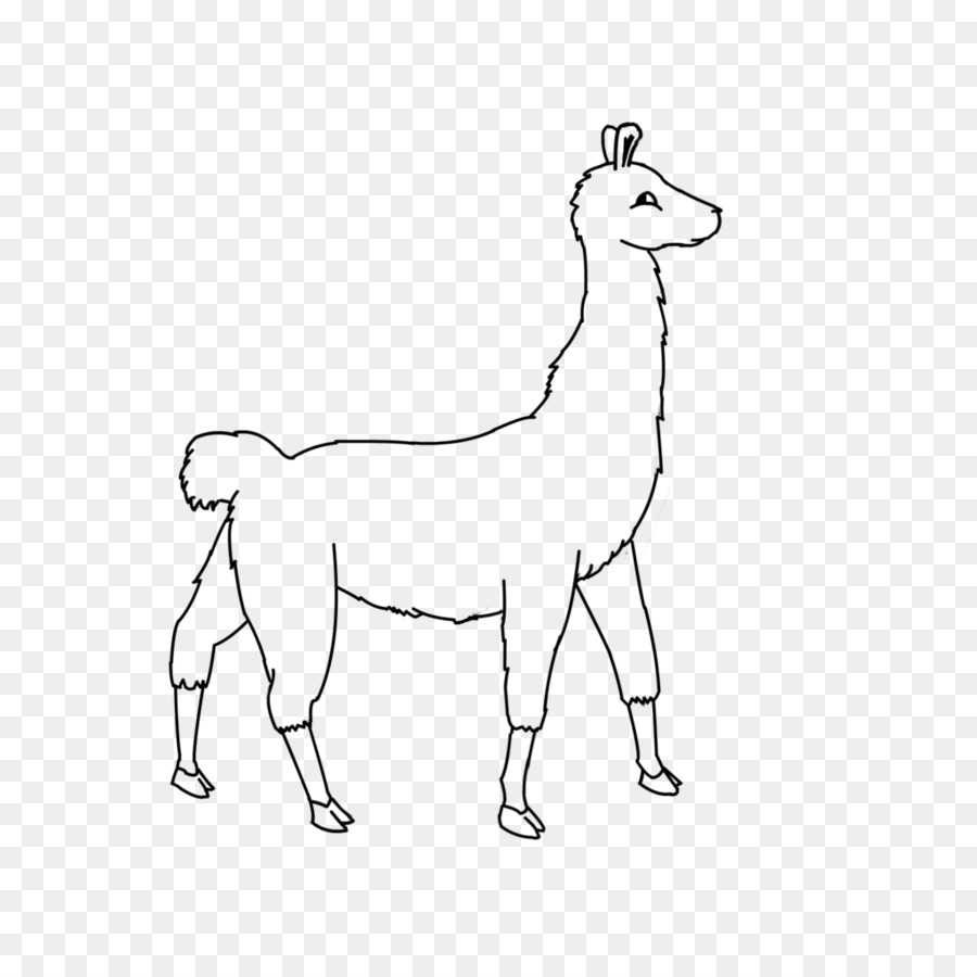 Alpaka-Lama-Linie Kunst Camel clip-art - Camel